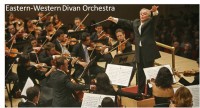 divan-orchestra2