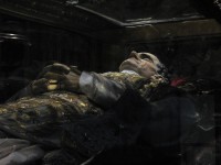 Dom Bosco