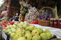 Produtos do campo