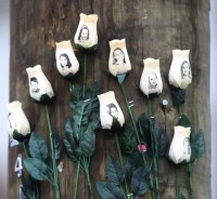 newtown